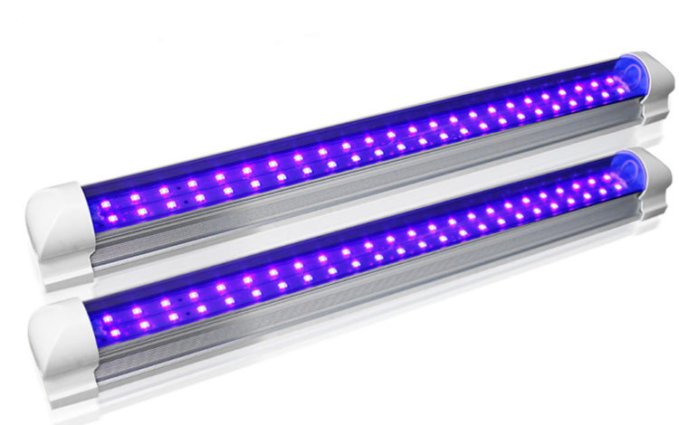 Bactericide LEDs