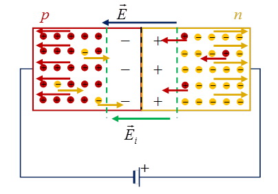 What is the LED - a detailed description of the characteristics and types