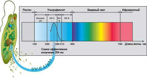 Visual demonstration of the effective range of the waves.