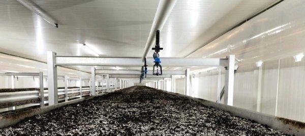 Features of home quarts