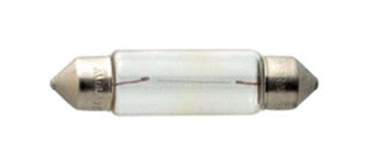 Description of the main types of bulbs