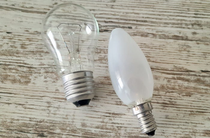 What are the main types of bulbs