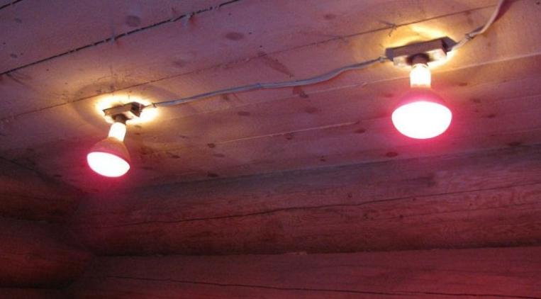 Infrared hen house heating in winter