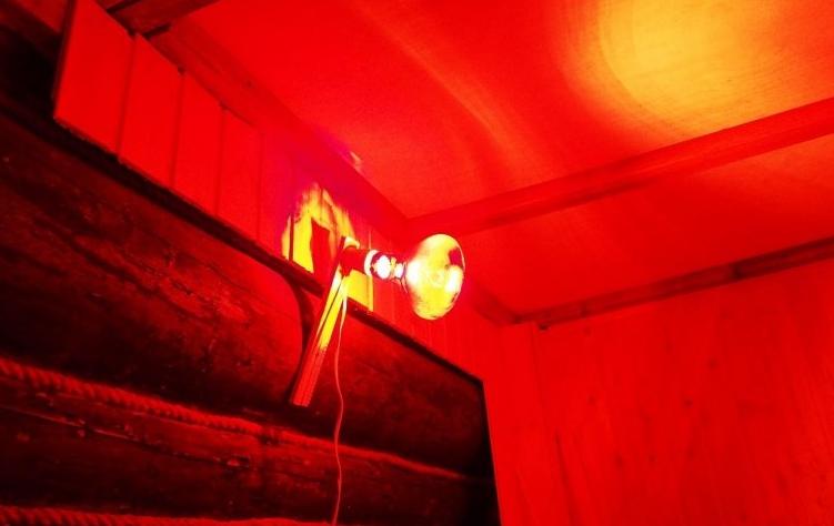 Infrared heaters for winter hen house