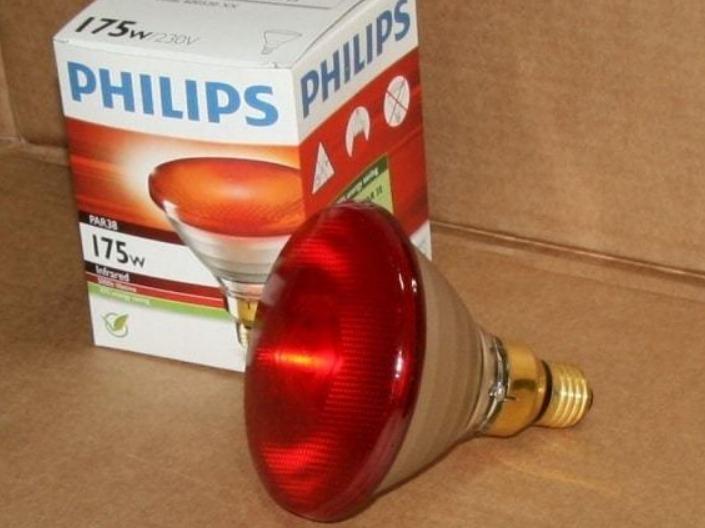 Infrared winter heaters for the hen house