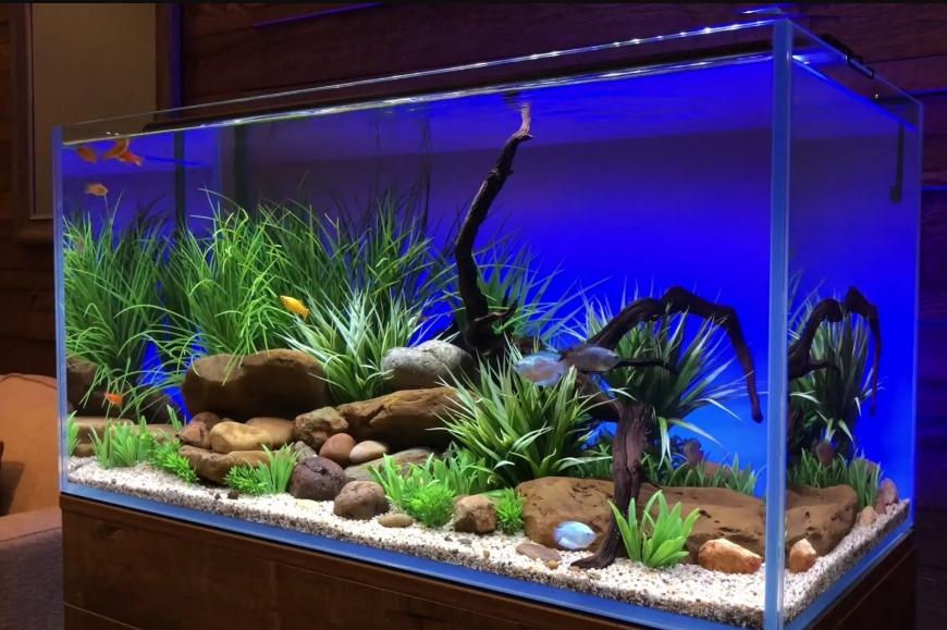 provides the best possible light uniformity throughout the entire volume.