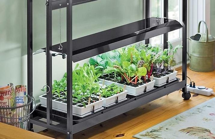 Brightness of the light must be adjusted according to the position of the shelf