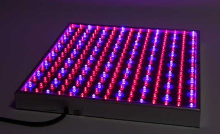 consists of blue and red LEDs.