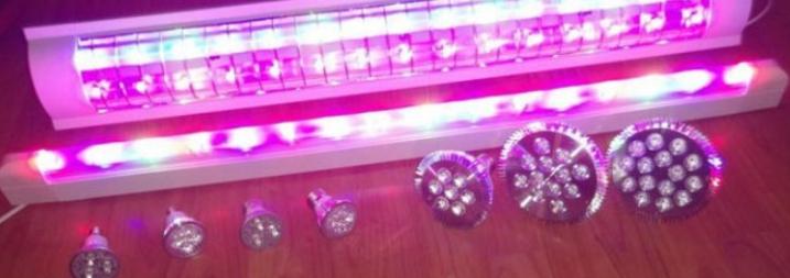 Ultraviolet lamp option.