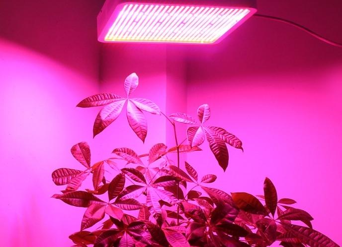 Height of light fitting