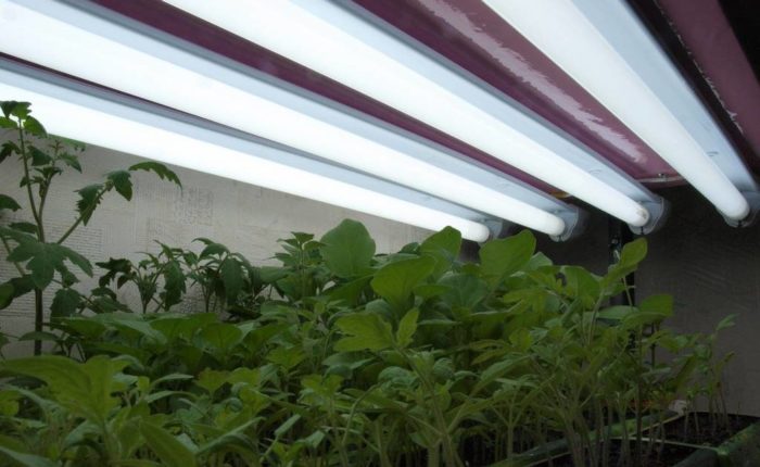 How to make lighting in a greenhouse