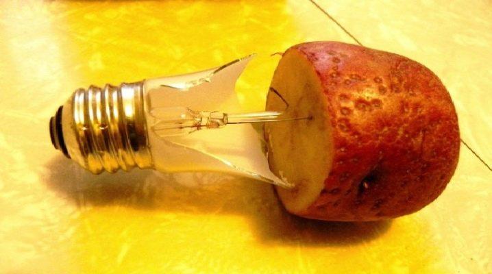 How to take the bulb holder out of the socket