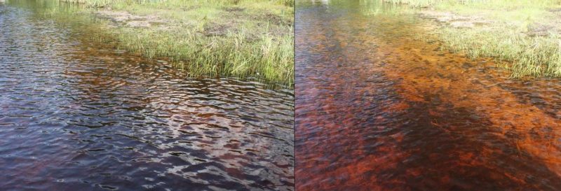 What is light polarization and its practical application