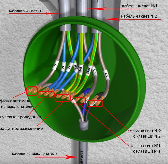 How to correctly install and wiring a double switch